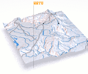 3d view of Wayu