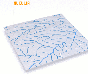 3d view of Muculia