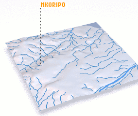3d view of Mkoripo