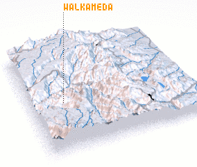 3d view of Walka Mēda