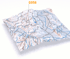 3d view of Gona