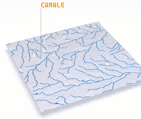 3d view of Camale