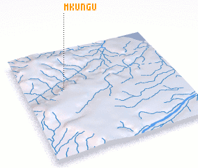 3d view of Mkungu