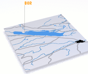 3d view of Bor