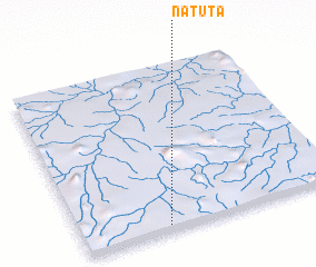 3d view of Natuta