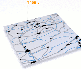 3d view of Topily