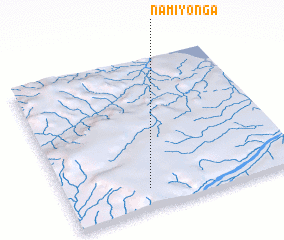 3d view of Namiyonga