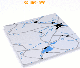 3d view of Savinskoye