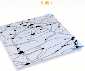 3d view of Surki