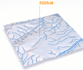 3d view of Ngunja