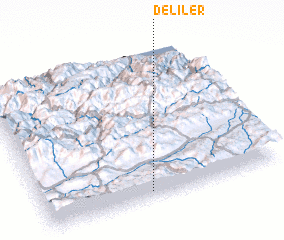 3d view of Deliler