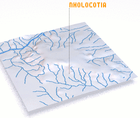 3d view of Nholocotia