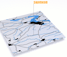 3d view of Savin Kor\
