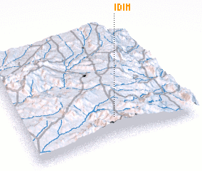 3d view of Idim