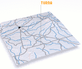 3d view of Turna