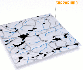 3d view of Sharapkino