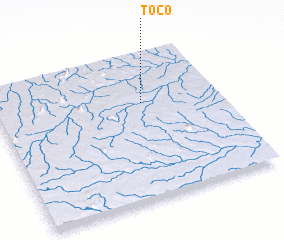 3d view of Toco
