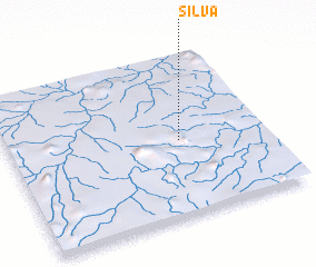 3d view of Silva