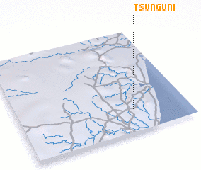 3d view of Tsunguni