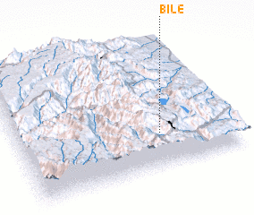 3d view of Bile