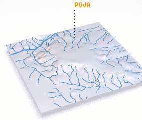 3d view of Poja