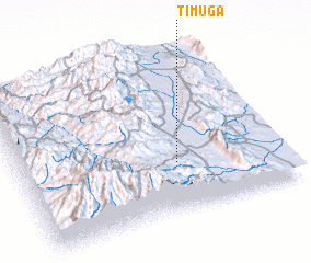 3d view of Tʼimuga