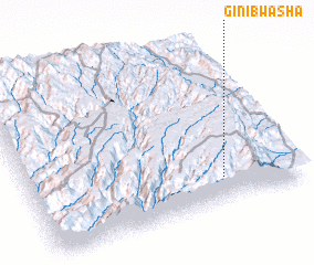 3d view of Ginib Washa