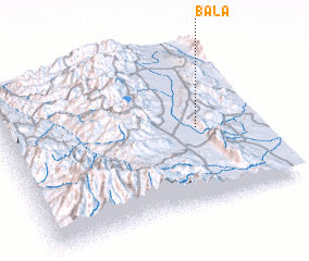 3d view of Bala