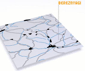 3d view of Bereznyagi