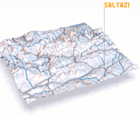 3d view of Salyazı