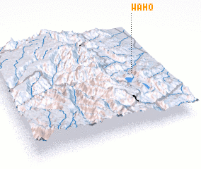 3d view of Waho