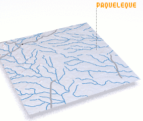 3d view of Paqueleque