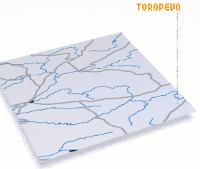 3d view of Toropevo