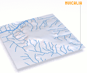 3d view of Muicalia