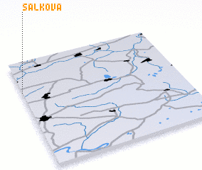 3d view of Sal\