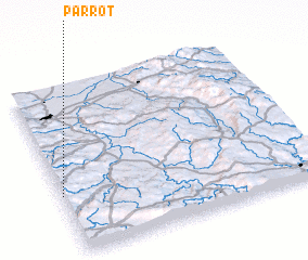 3d view of Parrot
