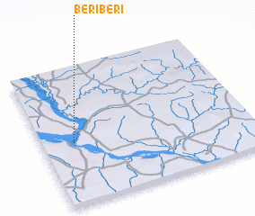 3d view of Beriberi
