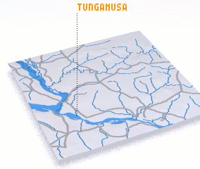 3d view of Tunga Musa