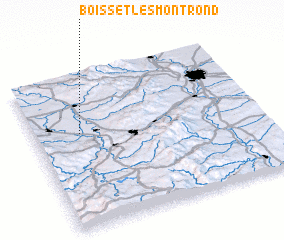 3d view of Boisset-lès-Montrond