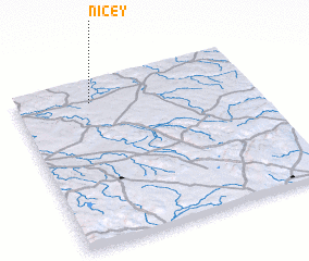 3d view of Nicey