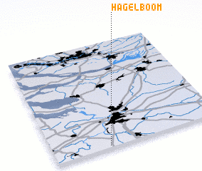 3d view of Hagelboom