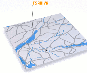 3d view of Tsamiya