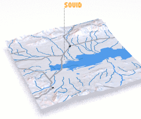 3d view of Souid