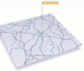 3d view of Asarope