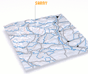 3d view of Sarny