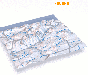 3d view of Tamokra