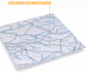 3d view of Grosbois-en-Montagne