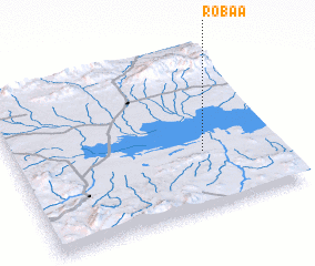 3d view of Robaa