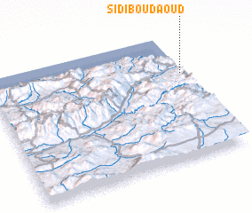 3d view of Sidi Bou Daoud