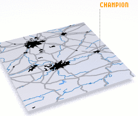 3d view of Champion